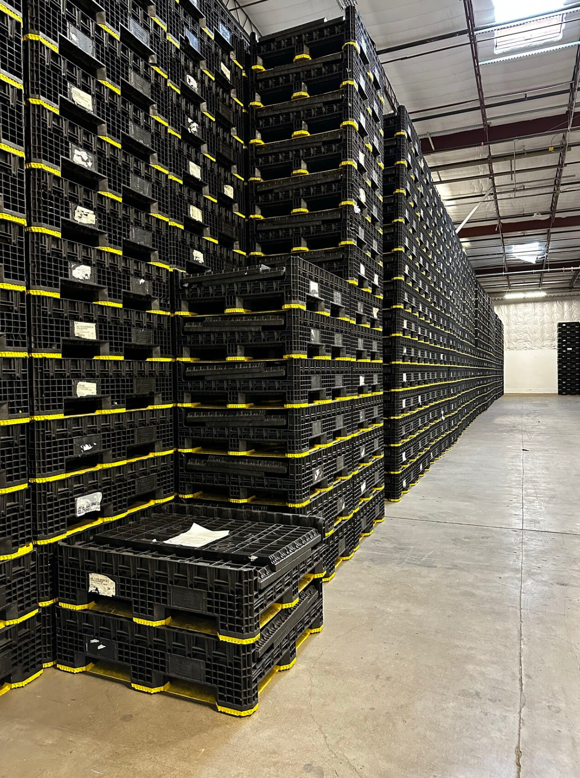 Orbis Industrial Totes